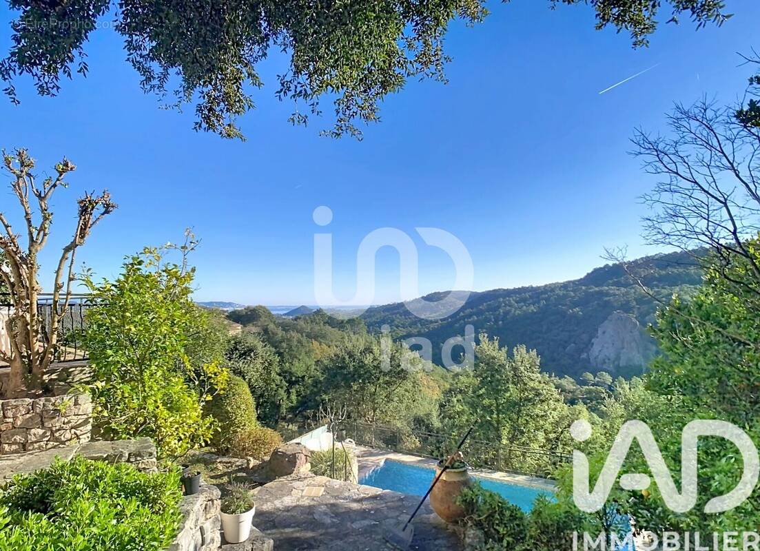 Photo 1 - Maison à MANDELIEU-LA-NAPOULE