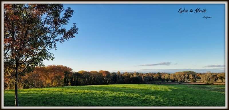 Propriété à vendre entre BIZIAT et PONT DE VEYLE (01) 16,5 Ha, vue, maison 145 m², ferme à rénover 170 m², pigeonnier, hangar, é - photo 4