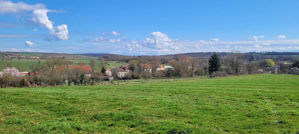 Terrain à BRIN-SUR-SEILLE