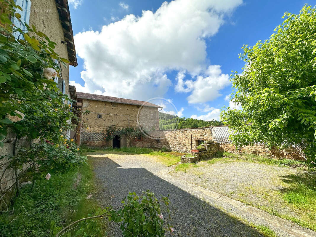 Maison à CHAZELLES-SUR-LYON