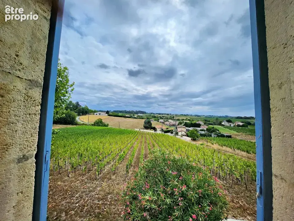 Maison 10 pièces 286 m² à vendre à Saint-Genes-De-Castillon (33350) - photo 5