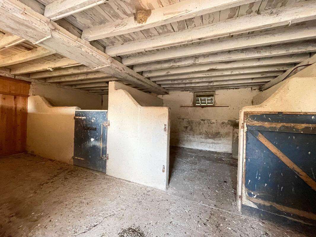 Exclusivité - Propriété avec beaucoup de cachet proche de Tigy ; Longère, Ecuries, piste d'entrainement, prés, bois et plan d'ea - photo 17