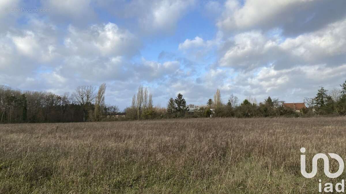 Photo 3 - Terrain à LA COUR-MARIGNY