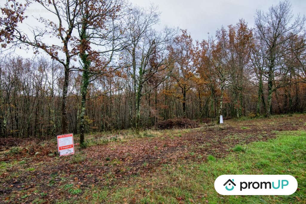 Terrain à VILLEMUR-SUR-TARN