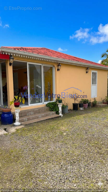 Maison à LA PLAINE-DES-PALMISTES