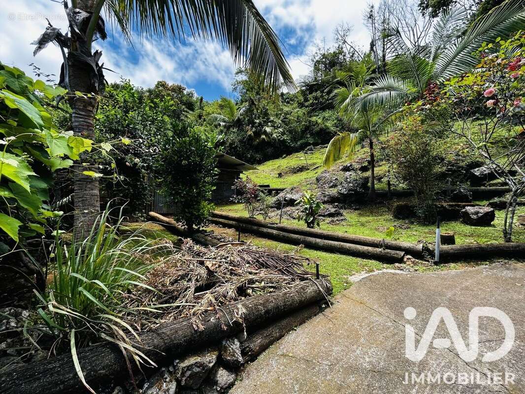 Photo 9 - Maison à PETITE-ILE