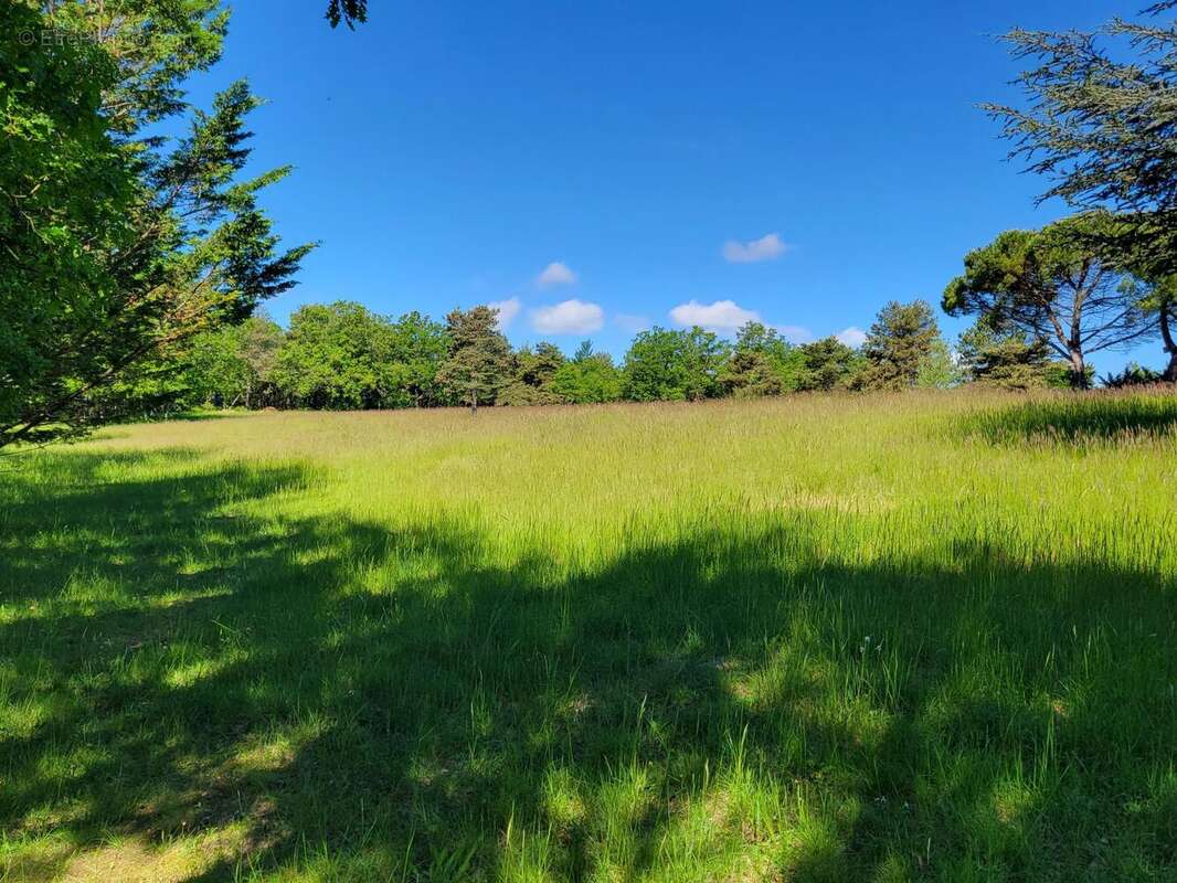 Photo 6 - Maison à SIMIANE-LA-ROTONDE