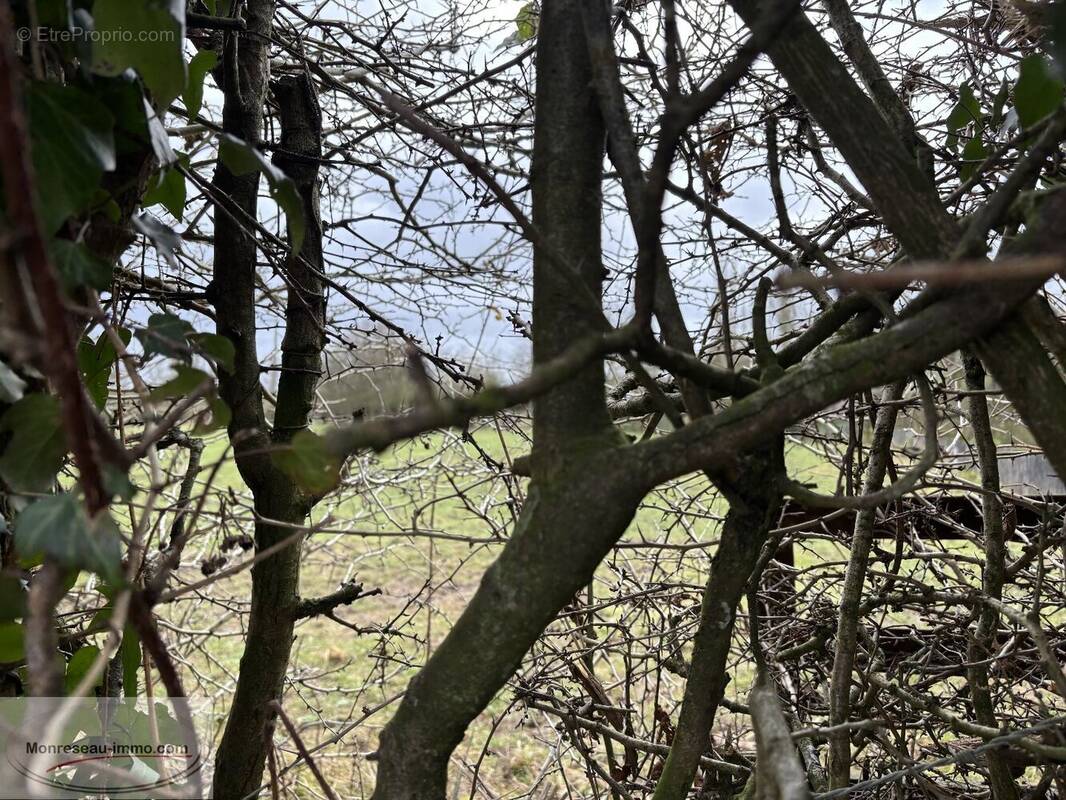 Terrain à LE QUESNOY