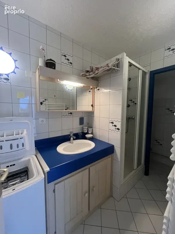 Appartement T2 avec terrasse - photo 4