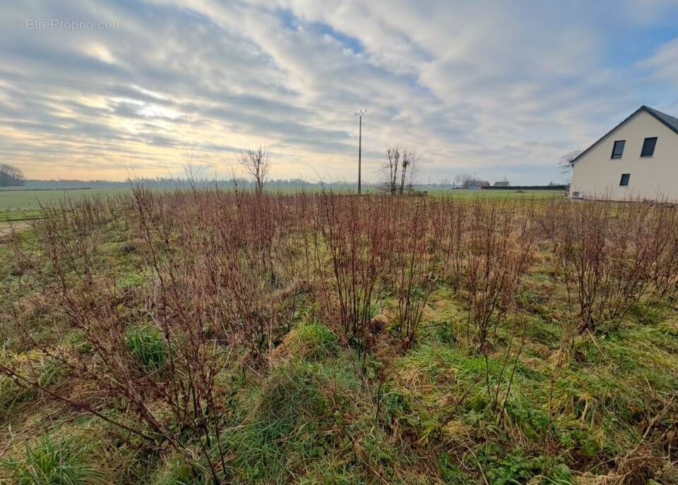 Terrain à CARVILLE-LA-FOLLETIERE
