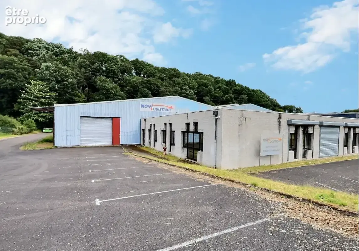 A VENDRE - Bâtiment d'activité / stockage - 4500 m2 - Saint-Avold - photo 2