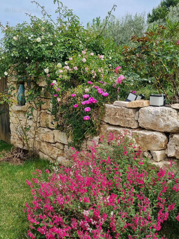 Maison à SAINT-ANDRE-DE-ROQUEPERTUIS