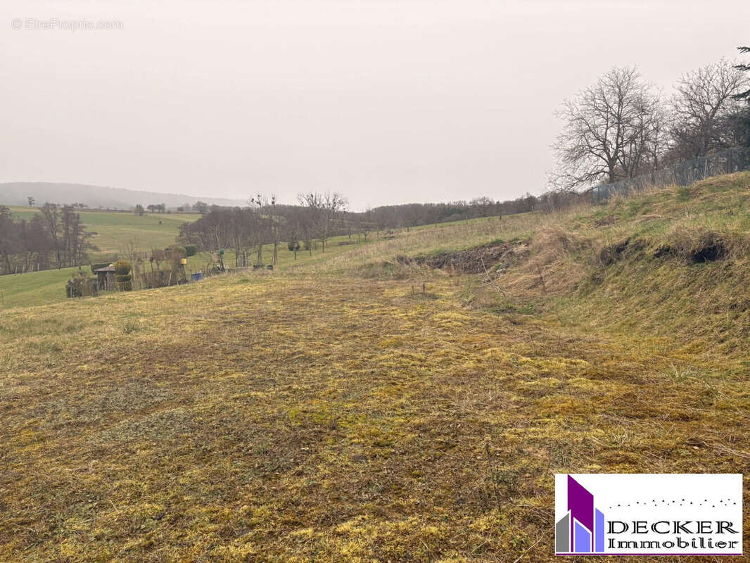 Terrain à NIEDERBRONN-LES-BAINS