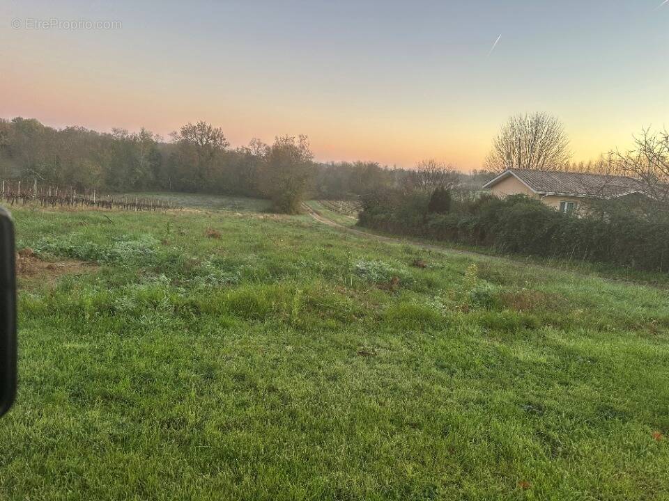 Terrain à PEUJARD