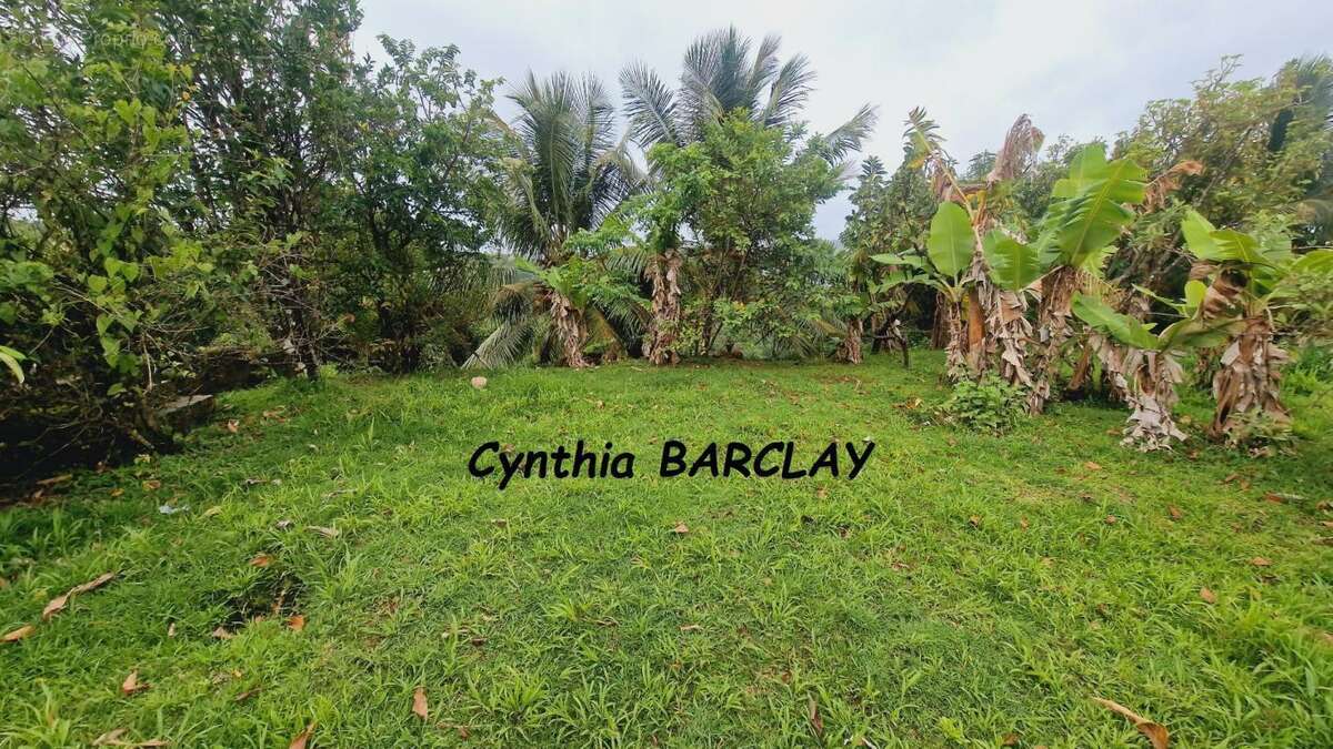 Maison à SAINTE-LUCE