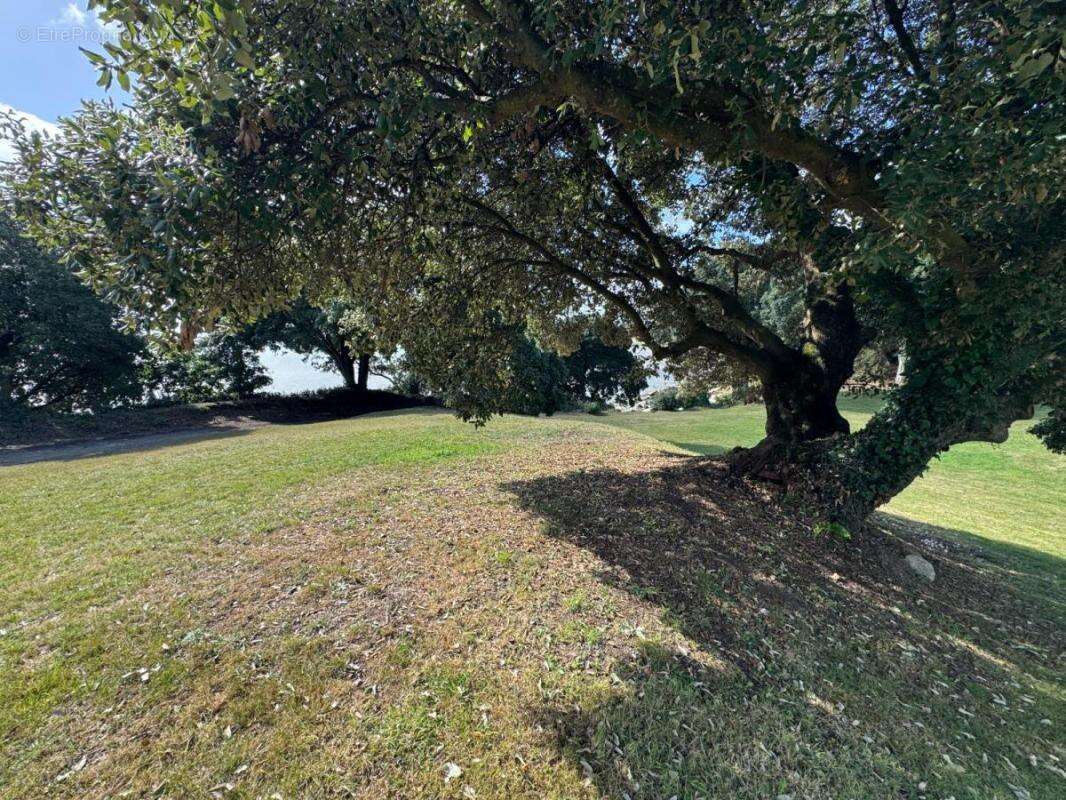 Maison à SAINT-MELOIR-DES-ONDES