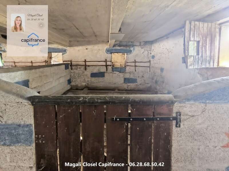 Bel ensemble immobilier de caractère sur près de 3 hectares. Maison, dépendances et Boxs à chevaux - photo 25