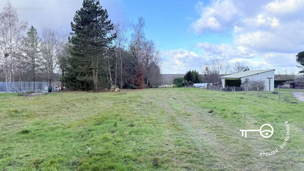 Terrain à MONTRIEUX-EN-SOLOGNE