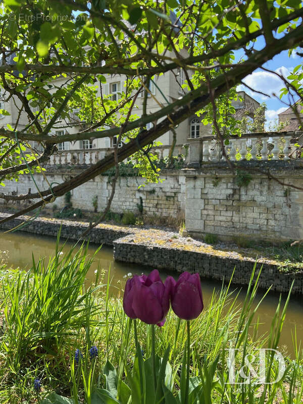 Autre à VILLERS-COTTERETS