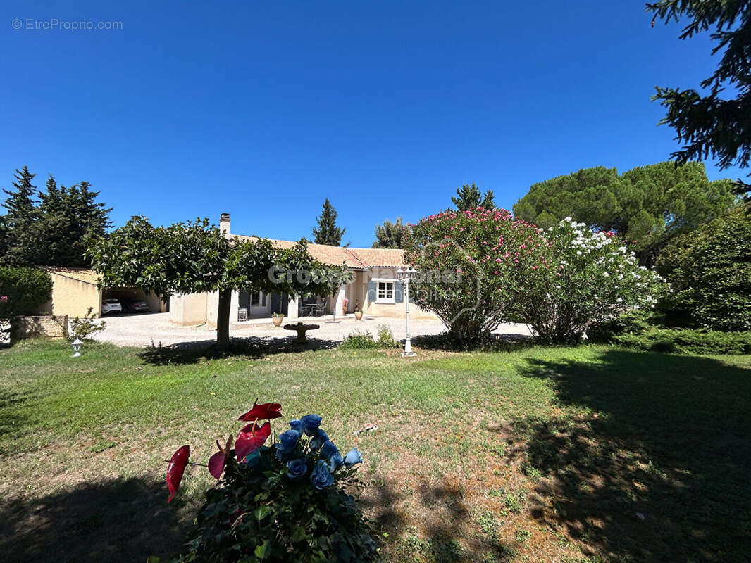 Maison de plain-pied 3 chambres avec piscine, garage, abri voitures sur parcelle constructible de 2826 m² - Loriol du Comtat - photo 3