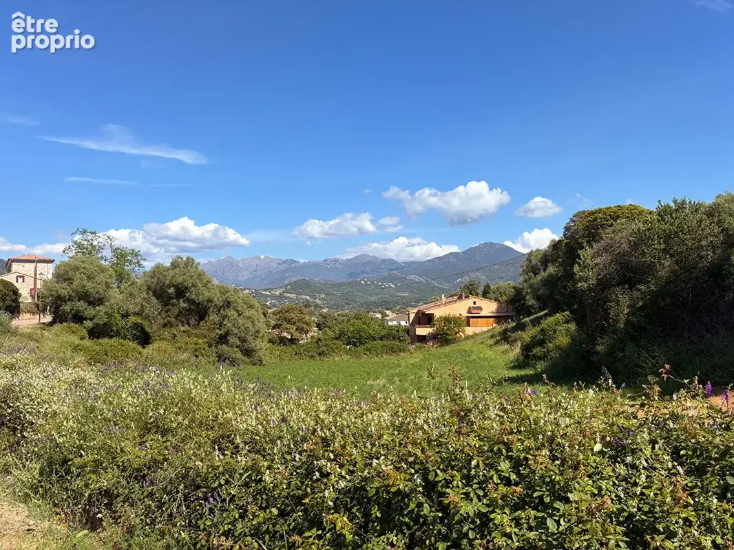 Photo Terrain à Bastelicaccia au prix de 370 000€