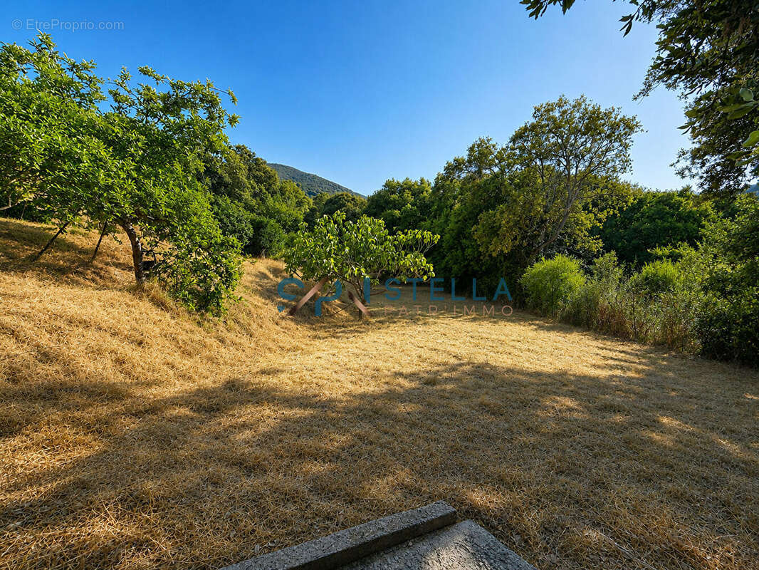 Propriété vue mer panoramique - 270 m² habitables et plus de 3 000 m² de terrain : une propriété rare à Calcatoggio - photo 18