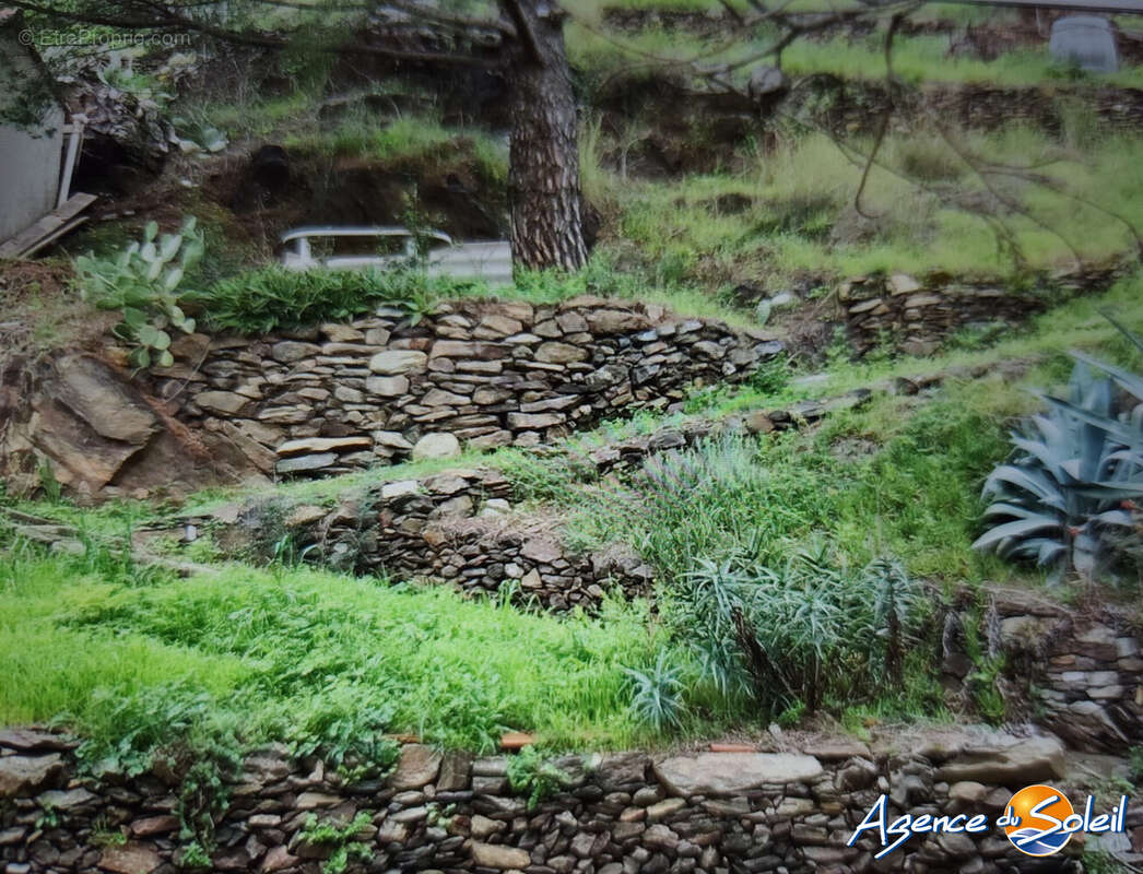 Terrain à BANYULS-SUR-MER