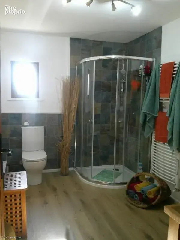 Superbe Maison Individuelle Avec Une Piscine Chauffée et Une Maison À Rénover - photo 24