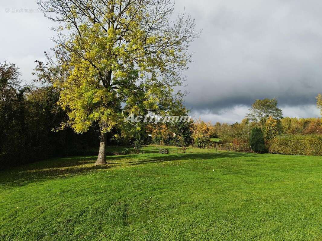 4275 7 - Maison à HESDIN