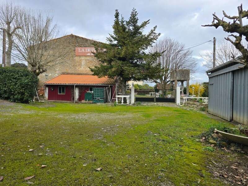 Domaine viticole 180 m² + dépendances + hangar – 6 754 m² – 15 min Carcassonne / Limoux - photo 4