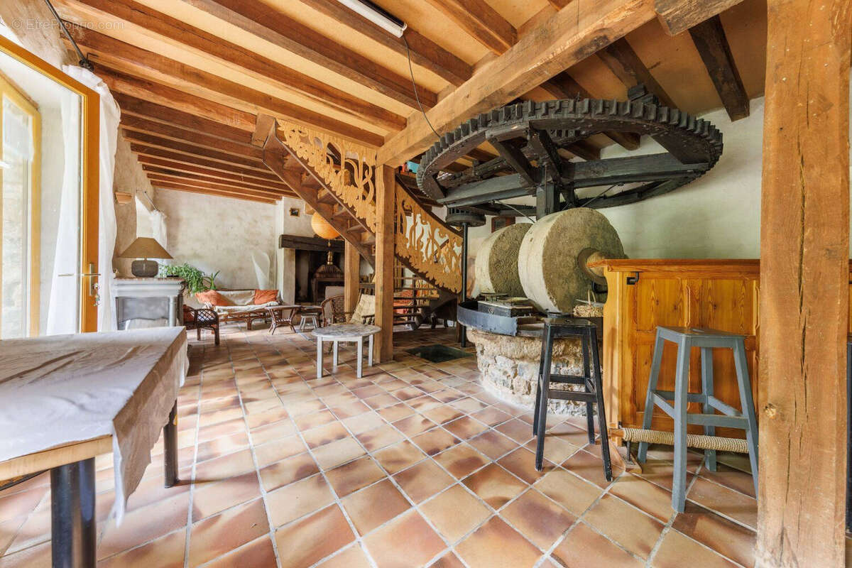 Moulin à eau de charme du XVIe siècle en Corrèze, cadre exceptionnel et potentiel rare - photo 3