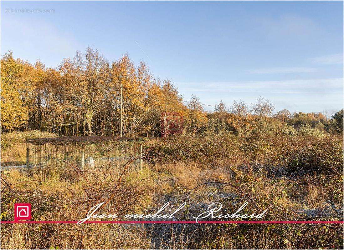 Terrain à COURMEMIN