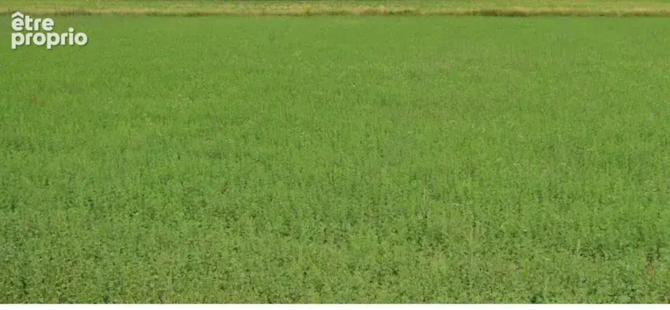 Photo Terrain à Beaurepaire au prix de 69 500€
