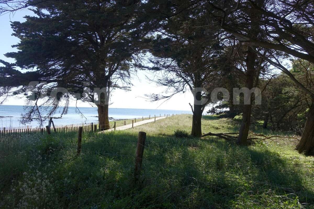 DSC05239 - Maison à SARZEAU