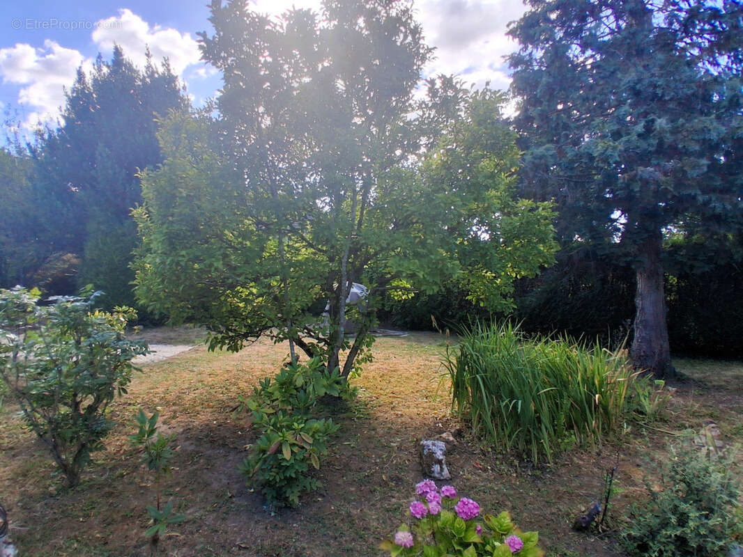 Pavillon de plain pied avec jardin - photo 11