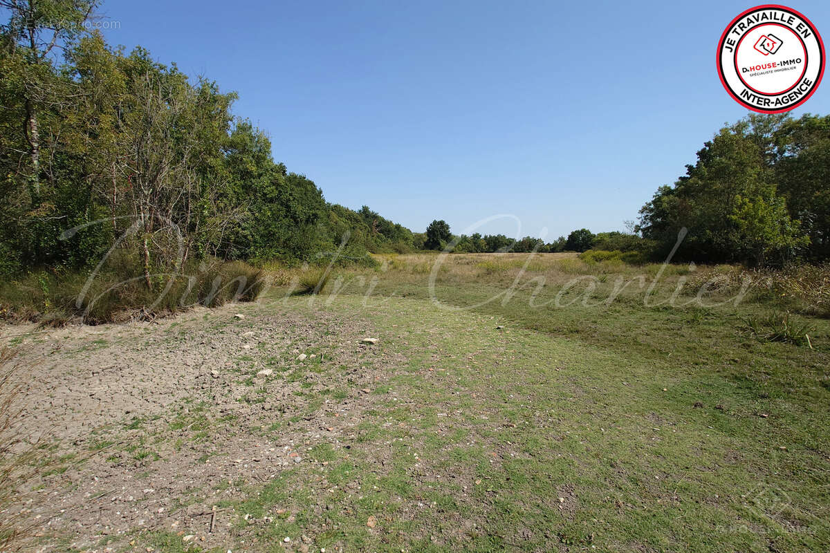 Terrain à SAINT-VIVIEN-DE-MEDOC