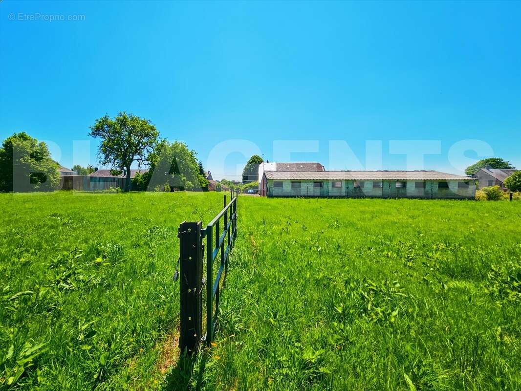 Photo 30(1) - Maison à TAILLETTE