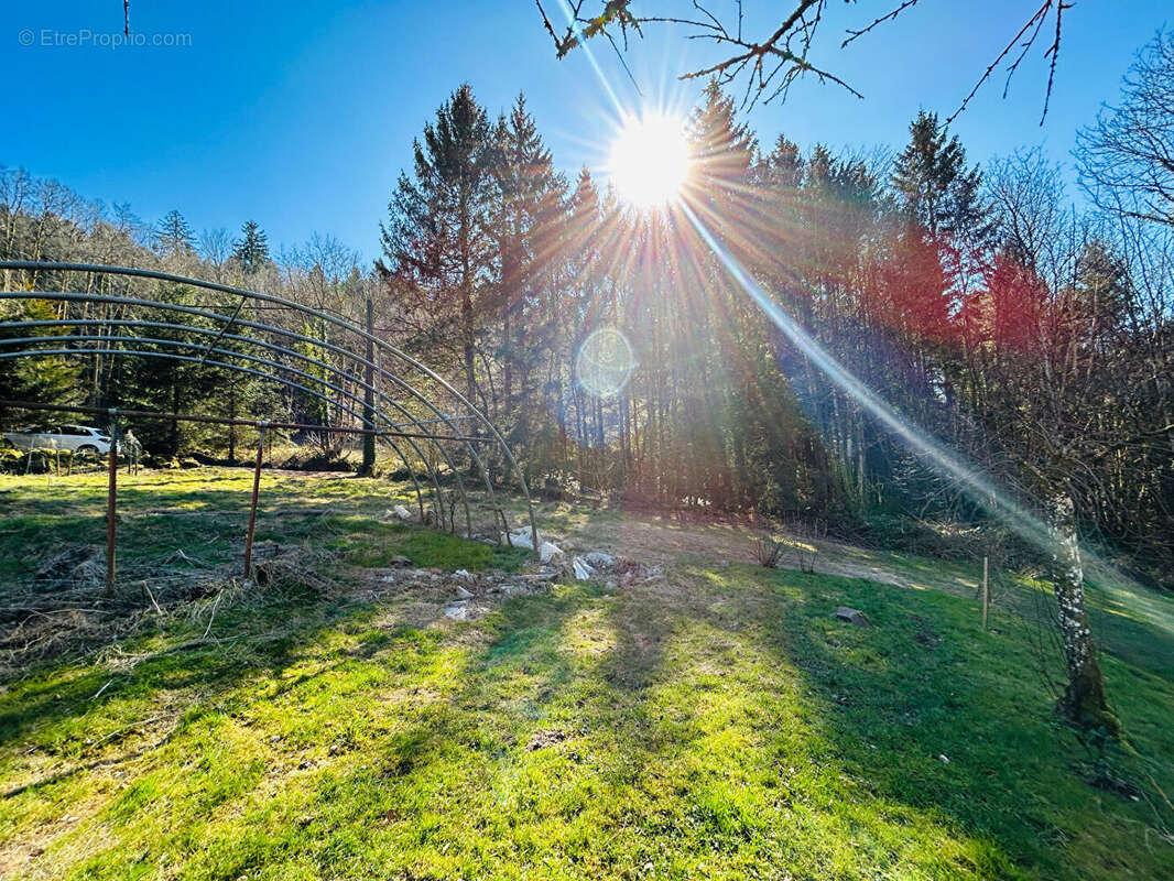 Maison à STRASBOURG