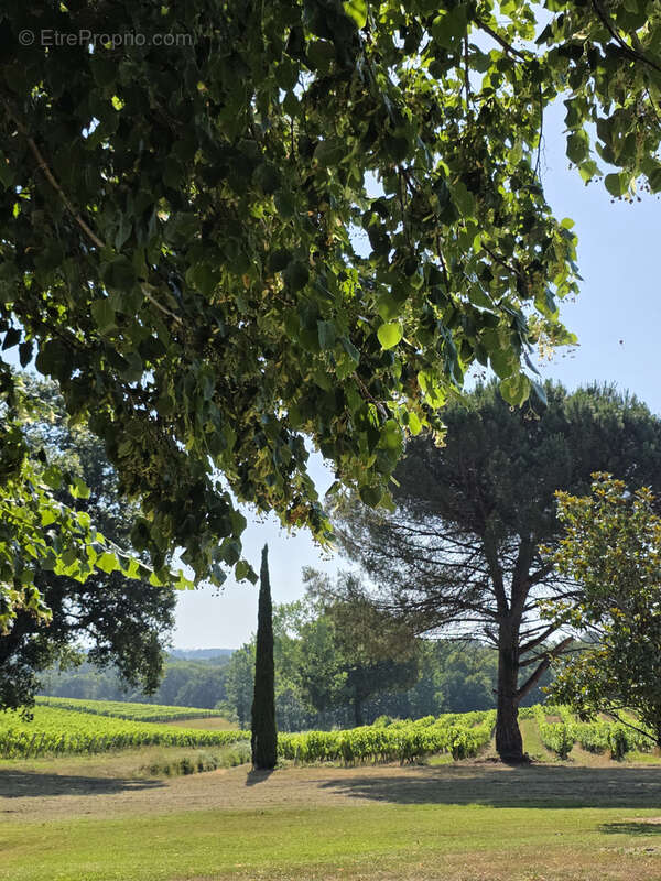 Proche eauze—maison de campagne avec piscine et dependances - photo 15