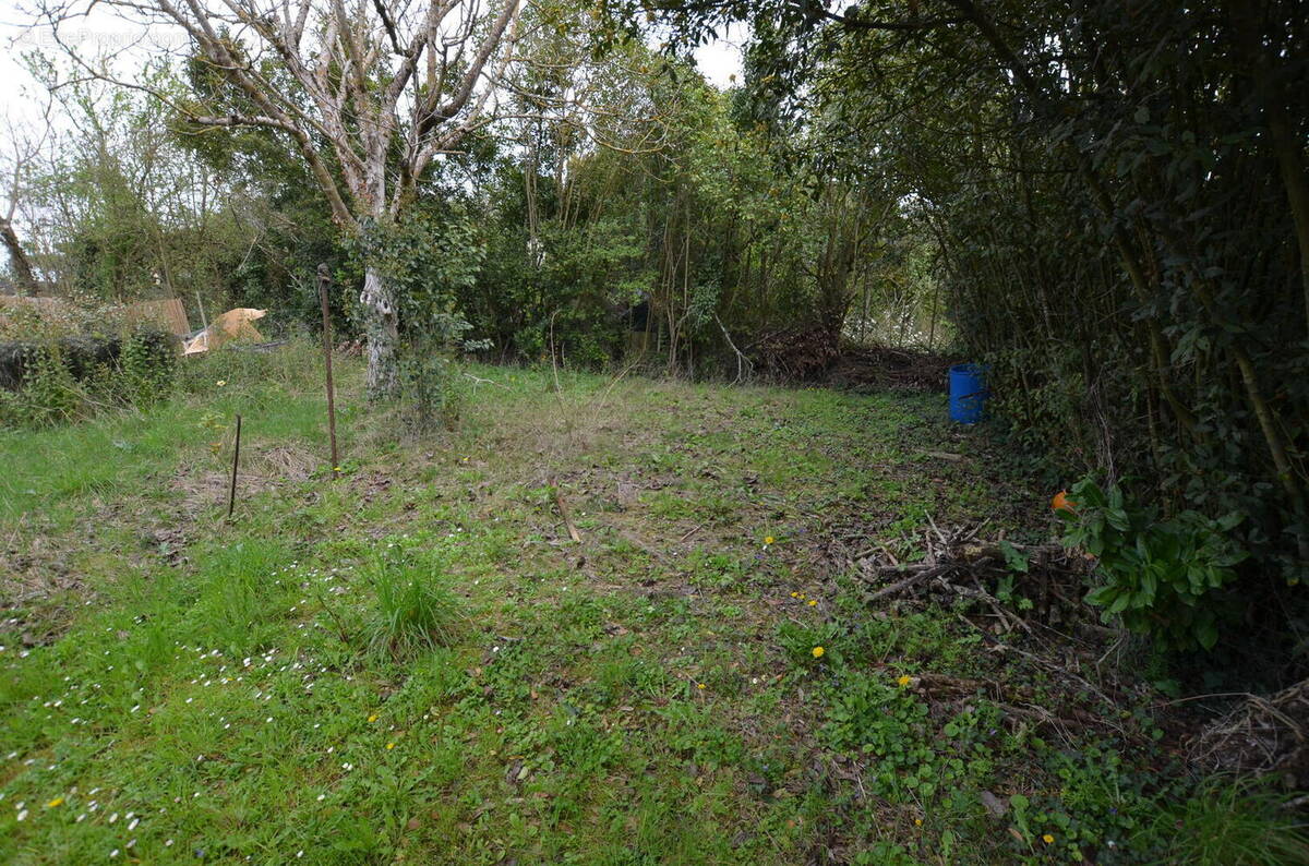 011 - Maison à VIC-FEZENSAC