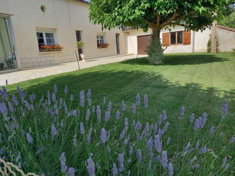 Maison à SAUVETERRE-DE-GUYENNE