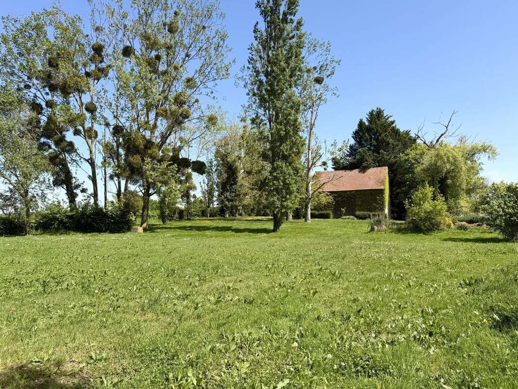 Parc - Maison à SAINT-COSME-EN-VAIRAIS