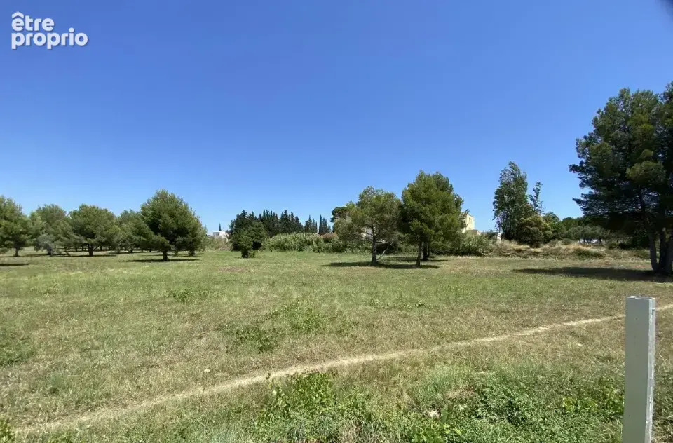 Terrain 300 m² à vendre à Saint-Pargoire (34230) - photo 3