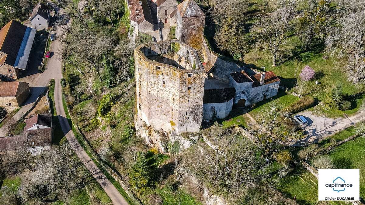 Murs et fonds : gite, chambres d'hôtes et table d'hôtes à vendre CHAUDENAY LE CHATEAU (21) - photo 8