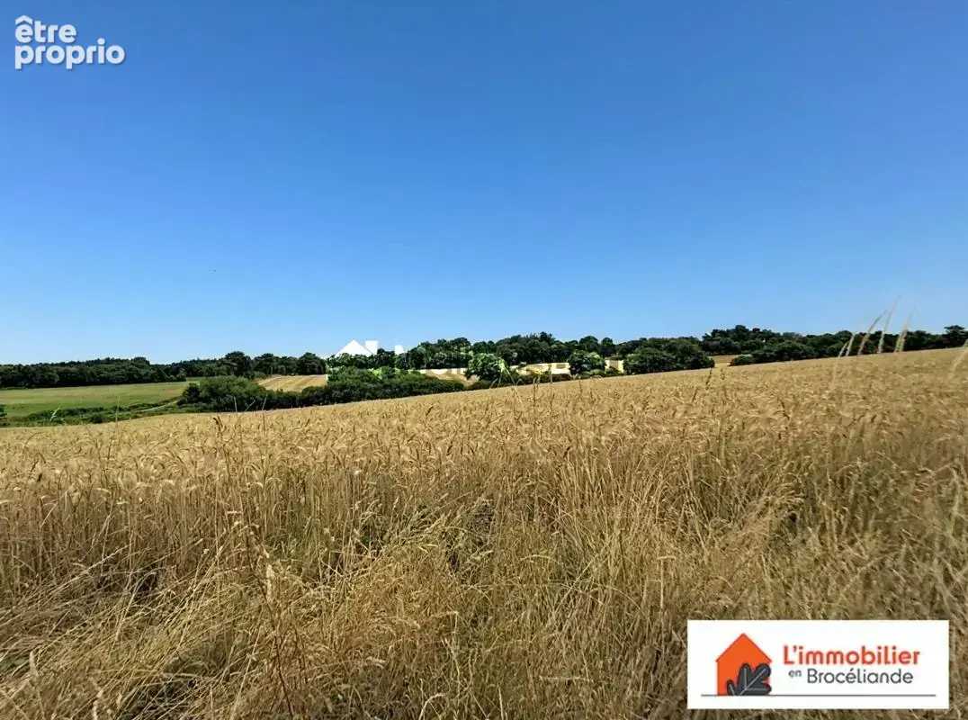 Très belle longère rénovée en Brocéliande - photo 4