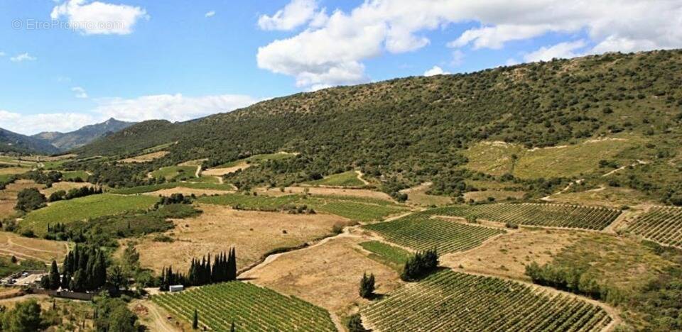 Terrain à ORNAISONS