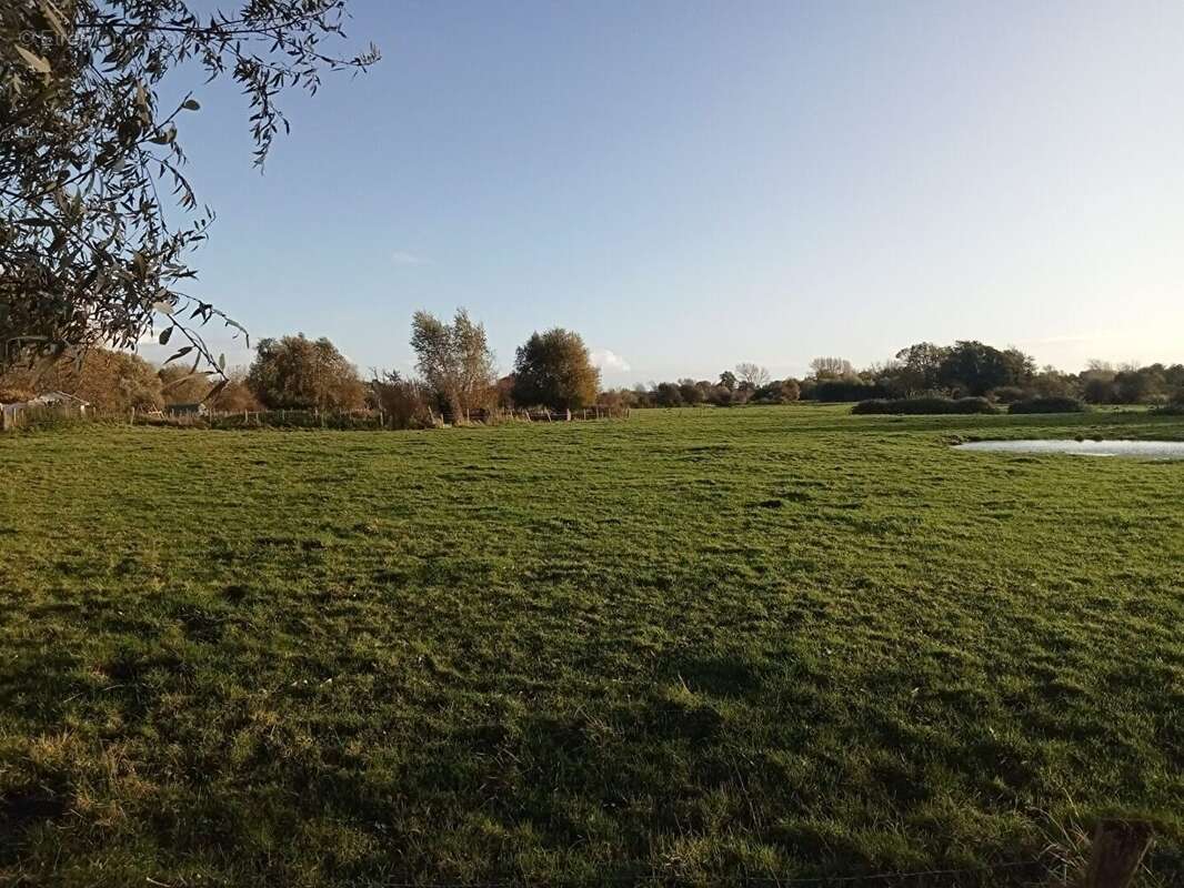 Terrain 2335 m² à Saint-Quentin-En-Tourmont  - photo 3