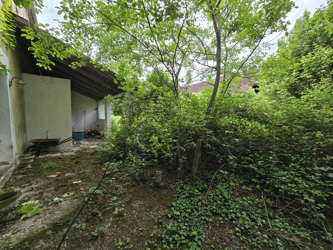 maison de ville avec jardin et dépendances - photo 27