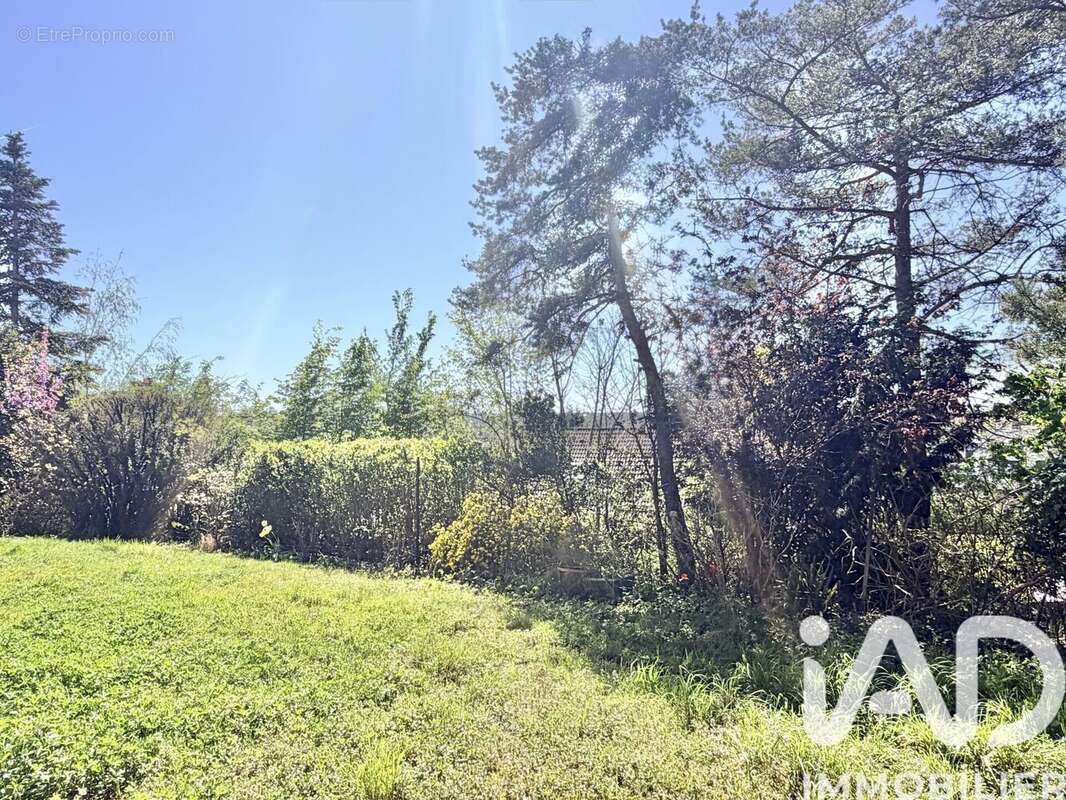 Photo 5 - Maison à SAINT-GERMAIN-LES-CORBEIL