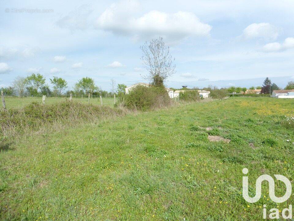 Photo 1 - Terrain à ASNIERES-LA-GIRAUD